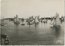 Cartolis Dinard (Ille-et-Vilaine) - Les Régates