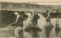 Cartolis Aucune (Côtes d'Armor) - Pêcheuses de crevettes