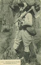 Cartolis Lanouée (Morbihan) - Bûcheron de la Forêt de Lanouë (Morbihan)