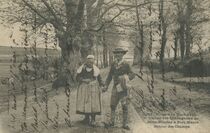 Cartolis Névez (Finistère) - L'allée des châtaigniers de Saint-Nicolas à Por ...