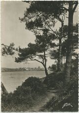 Cartolis Dinard (Ille-et-Vilaine) - Le Chemin de Ronde