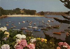 Cartolis Névez (Finistère) - Le Port et la Plage