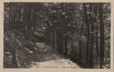 Cartolis Huelgoat (Finistère) - Allée des Violettes